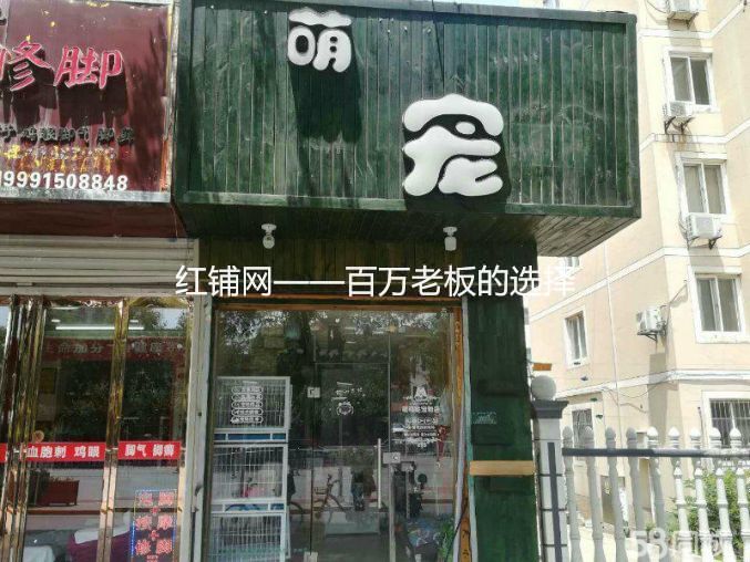 郭杜金堆城小区40平宠物店可整转/空转