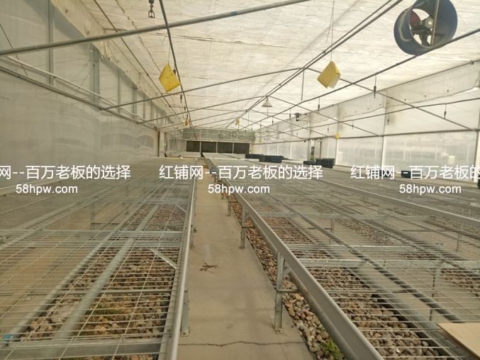 田王正街3300平厂房/仓库出租可机加工