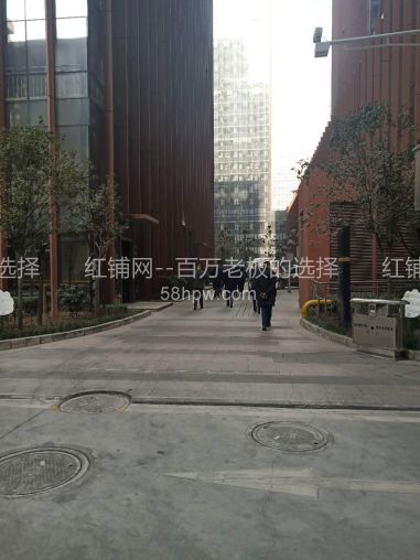 高新科技二路308平一拖二临街旺铺出租