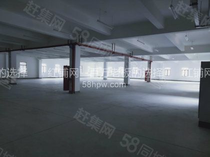 鄠邑区秦岭大道918平标准厂房出租