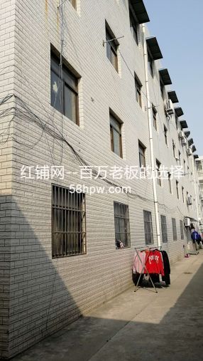 高新区鱼化工业园独栋多间写字间出租