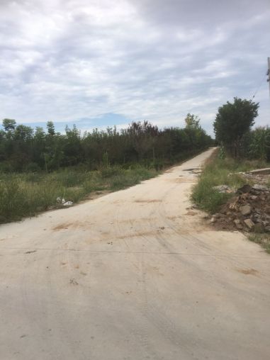 鄠邑区文黄路显落村5200平18公分硬化场地出租