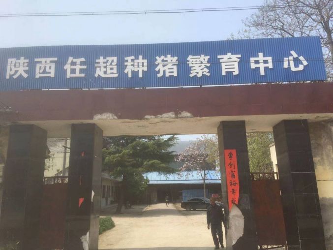 高陵210国道旁独院1300平建设用地厂房出租