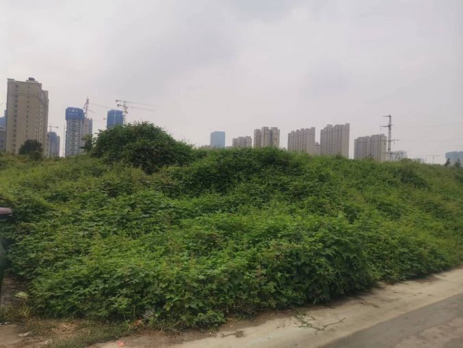 秦都胭脂河防美食街5亩空地出租价格便宜