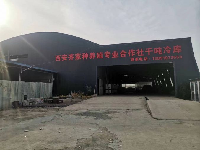 鄠邑区800平独院厂房出租 带千吨冷冻冷藏 恒温库